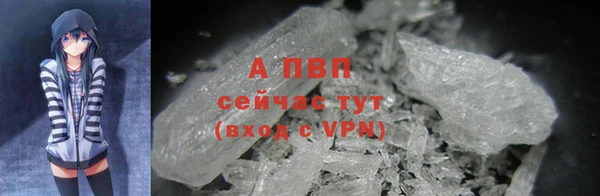 дживик Абинск