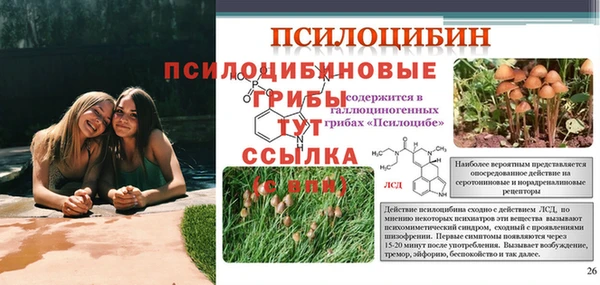 спиды Алексеевка