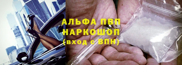 spice Абаза