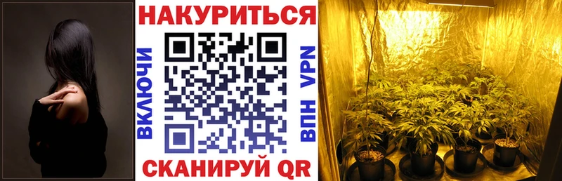 хочу наркоту  Вышний Волочёк  Шишки марихуана Amnesia 